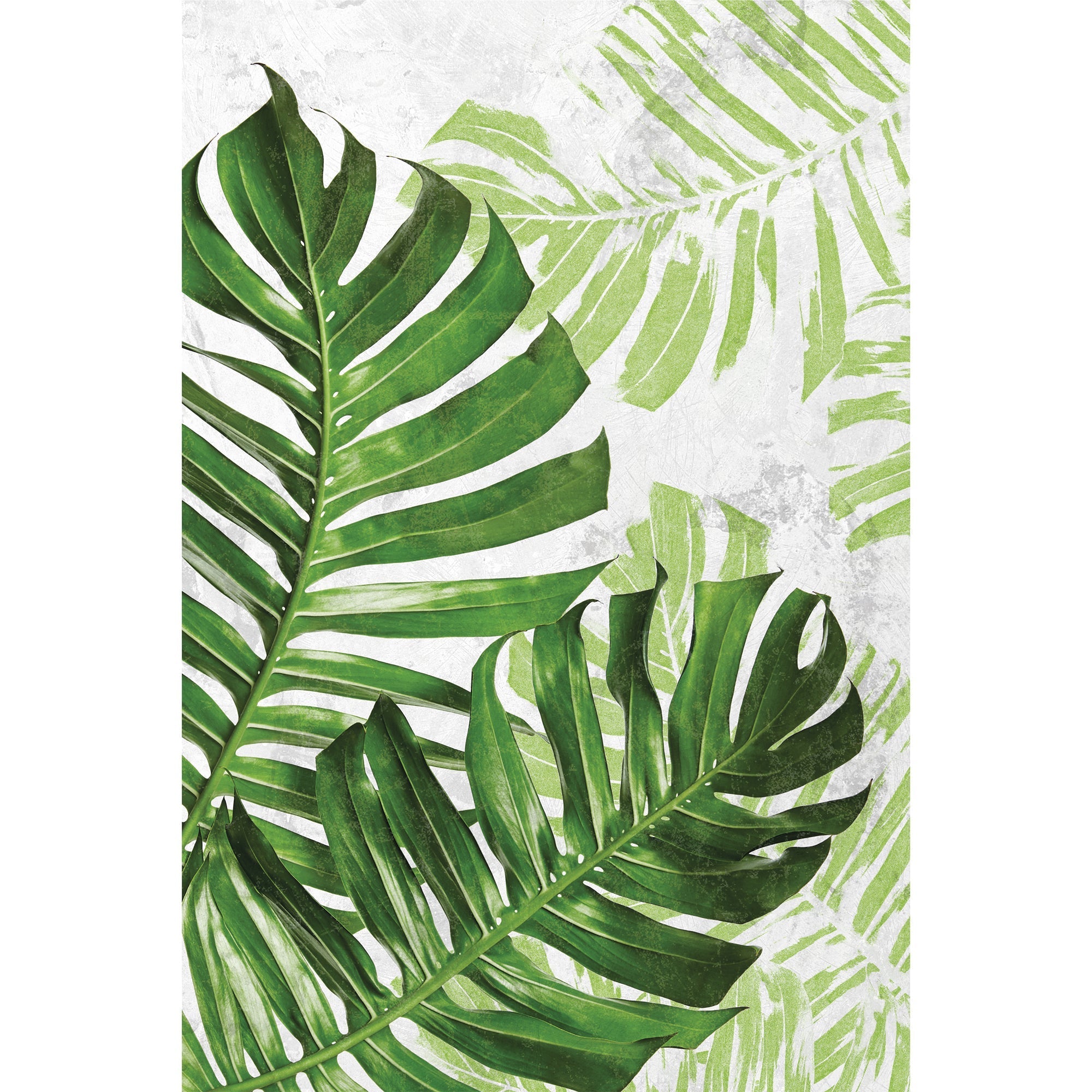 Aubrielle - 040658 - Tapis.