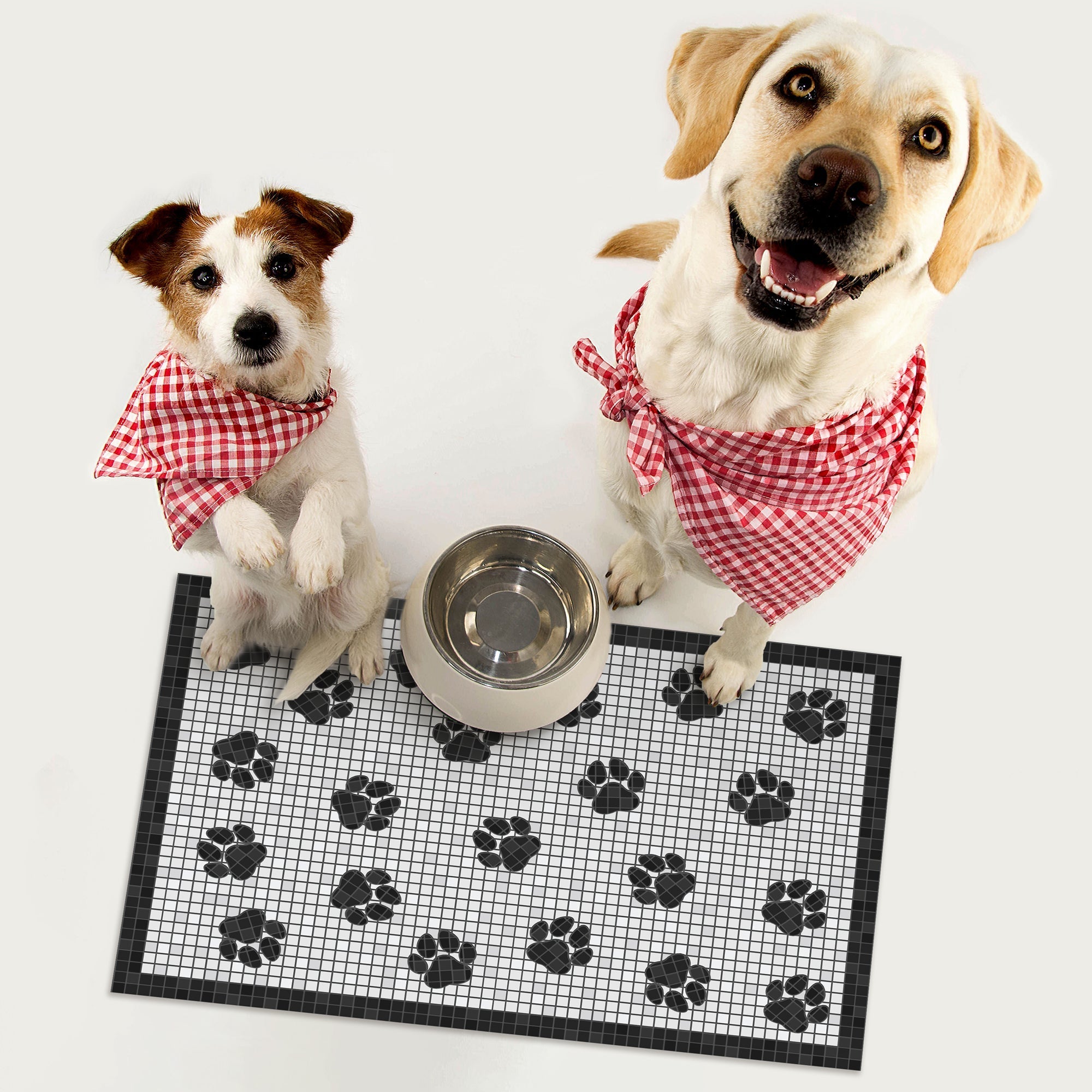 JASPER - Tapis Animaux.