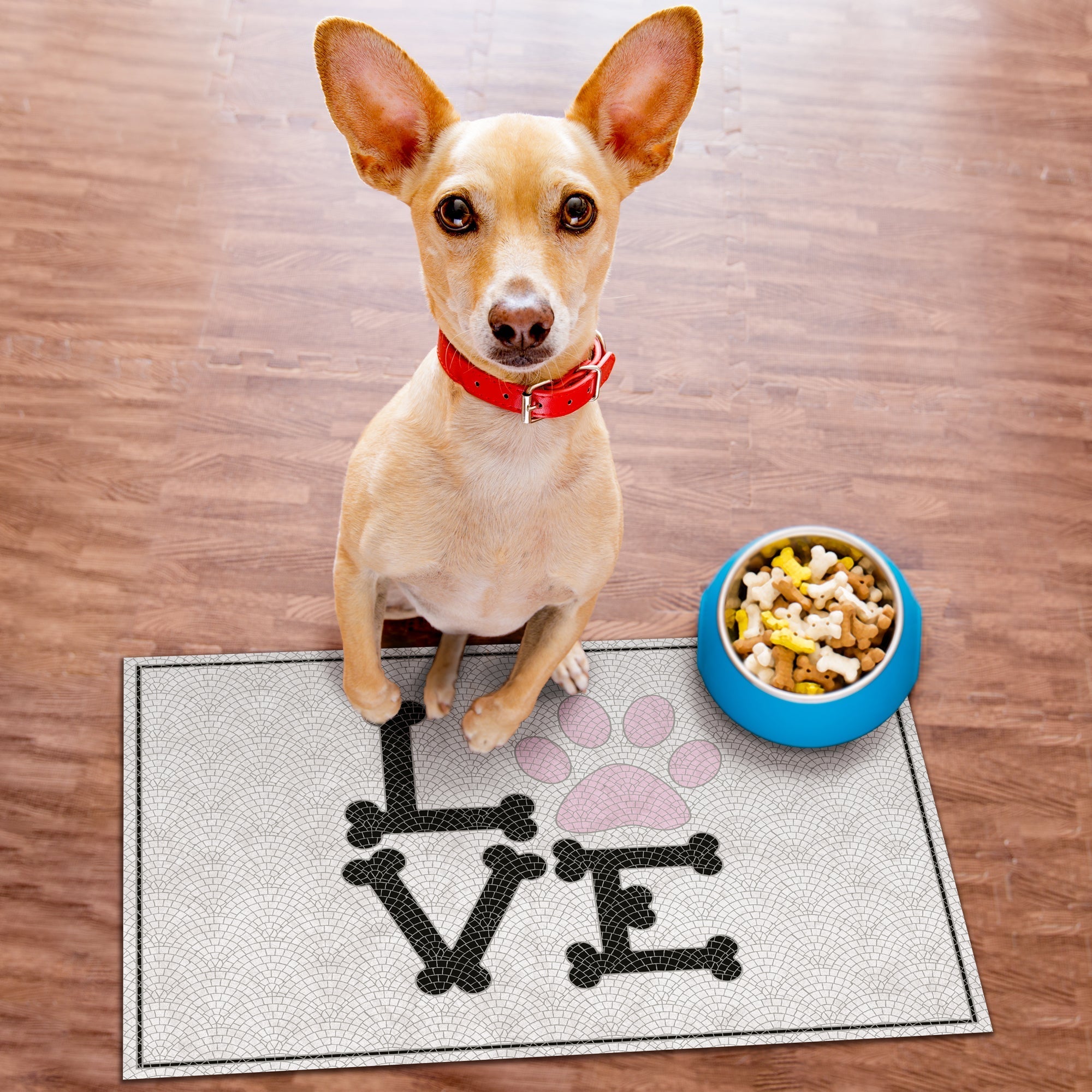 OLIVE - Tapis Animaux.
