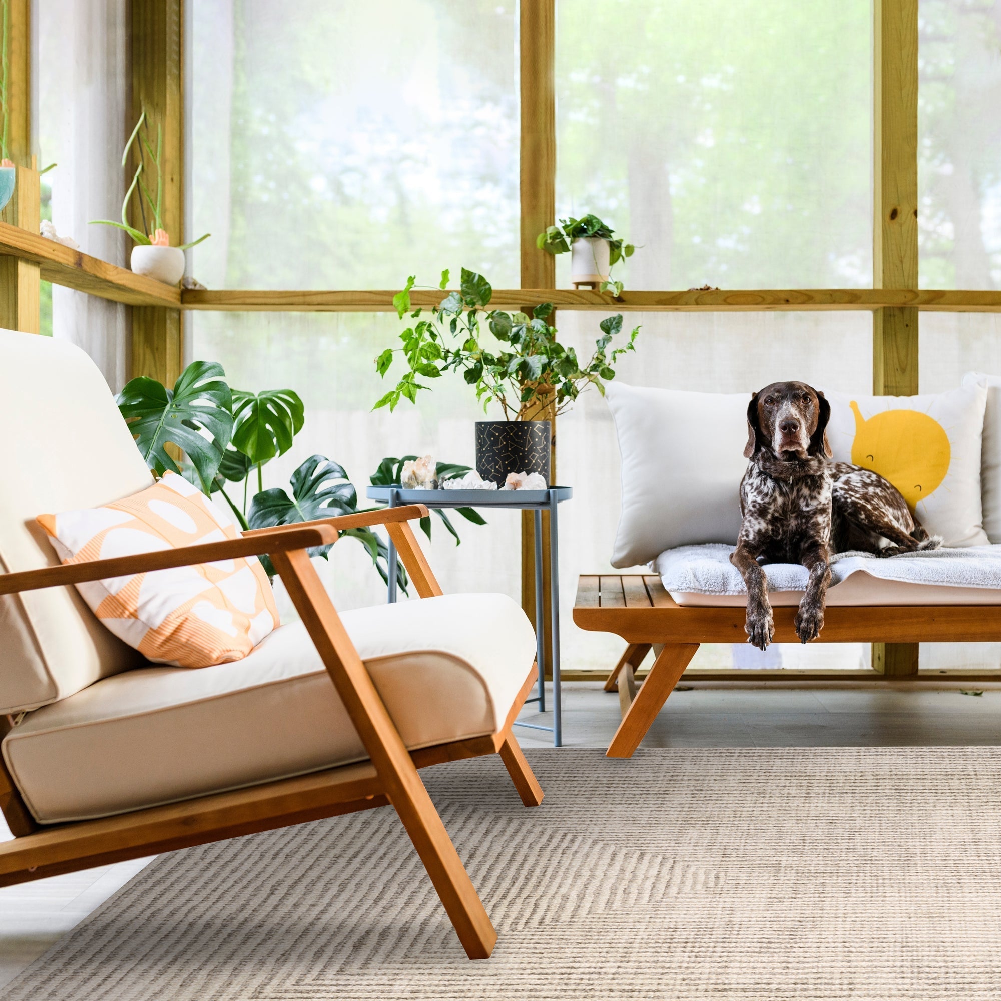 Charley - 056484 - Tapis.