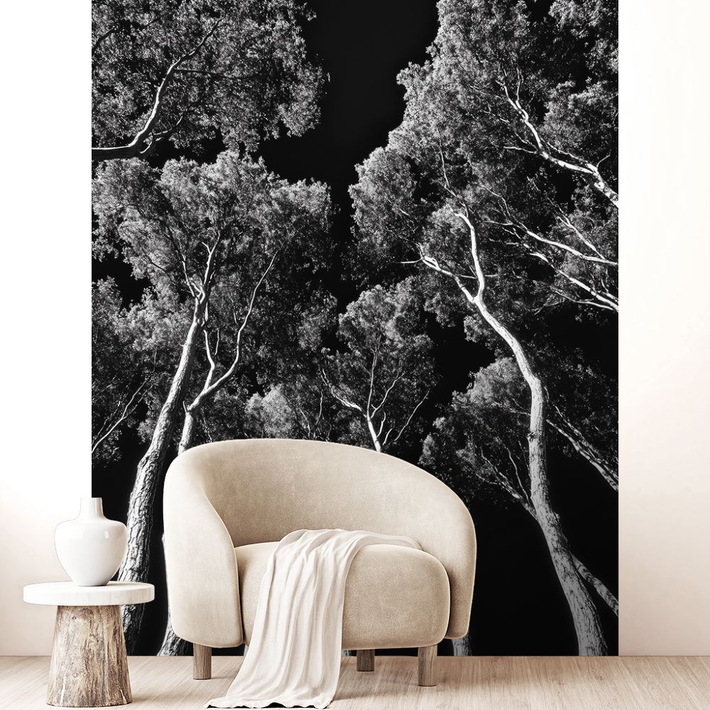 Papier peint "Forêt paisible"