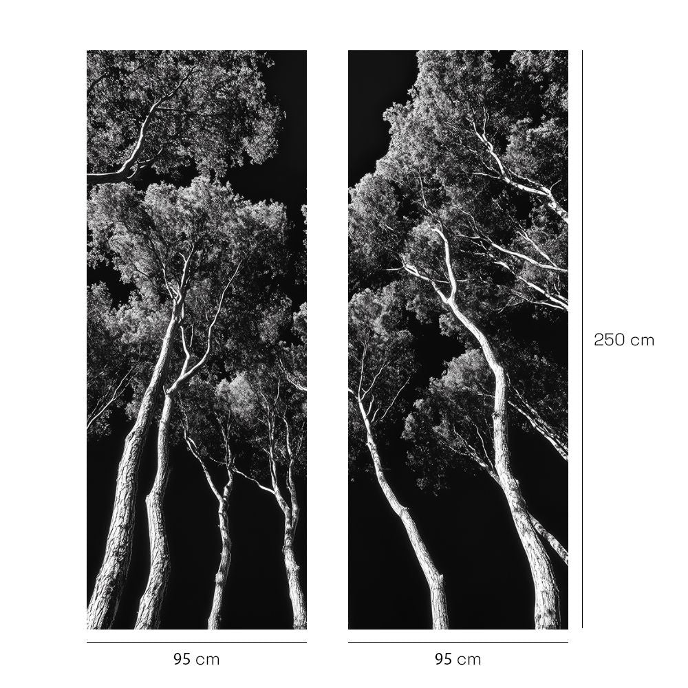 Papier peint "Forêt paisible"