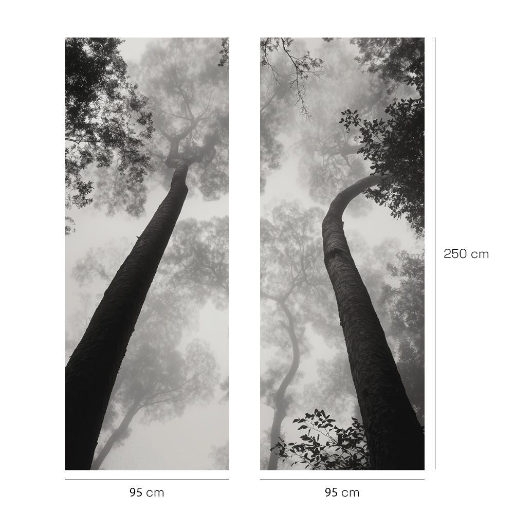 Papier peint "Arbres majestueux et brumeux"