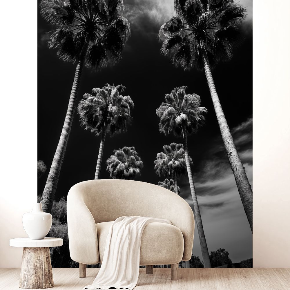Papier peint "Palmiers majestueux noirs"