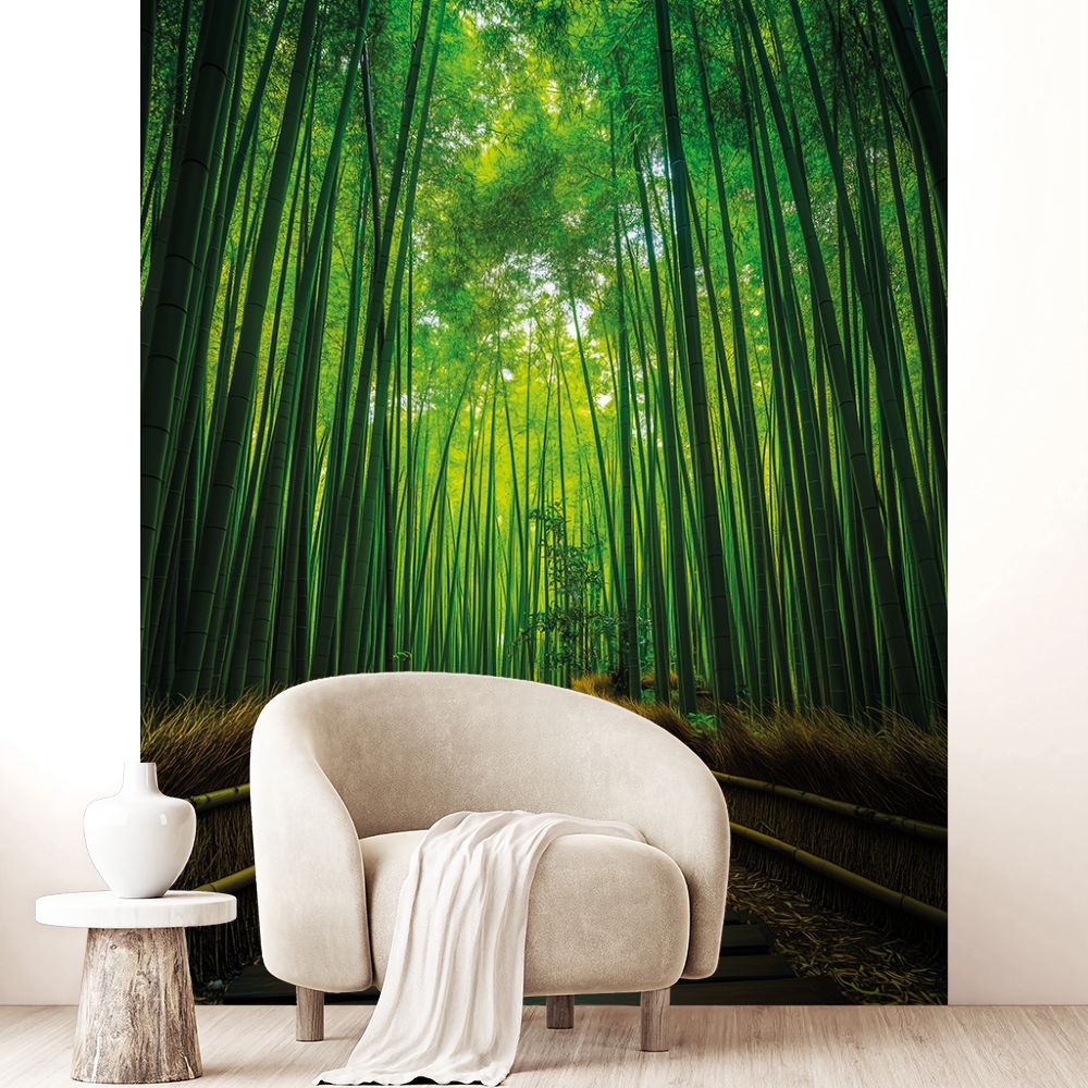 Papier peint "Sentier serein"