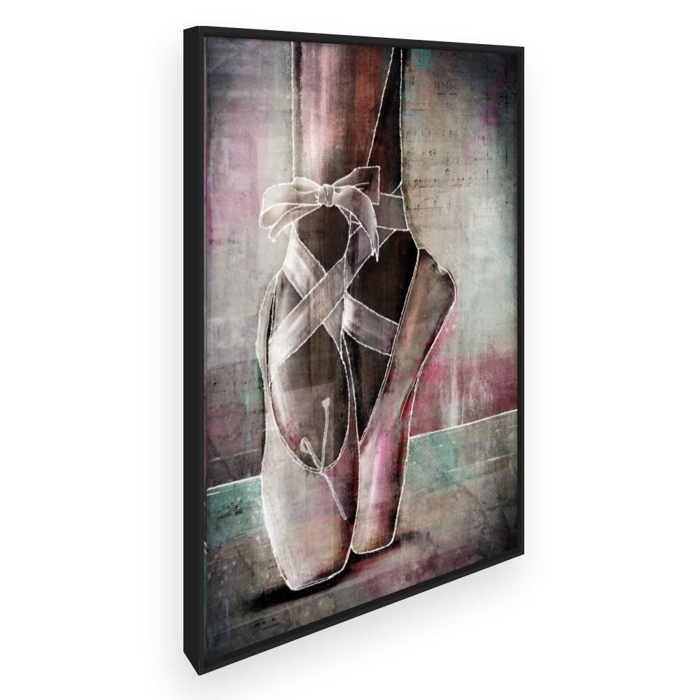 Toile Chaussons de ballet