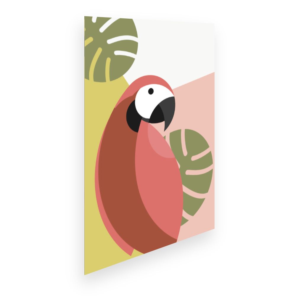 Affiche Perroquet exotique
