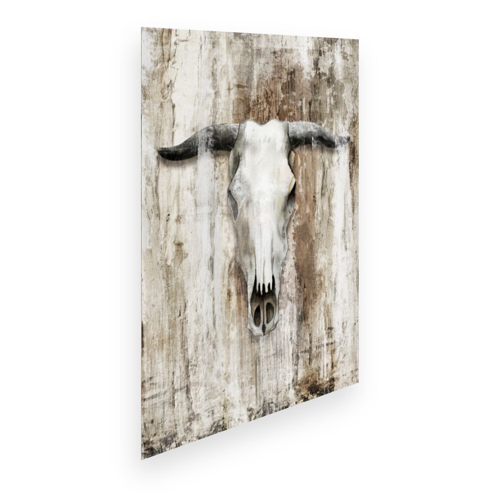 Affiche Crâne rustique