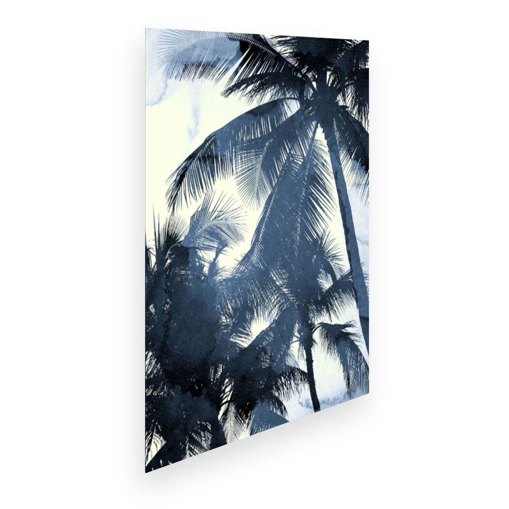 Affiche Palmiers exotiques