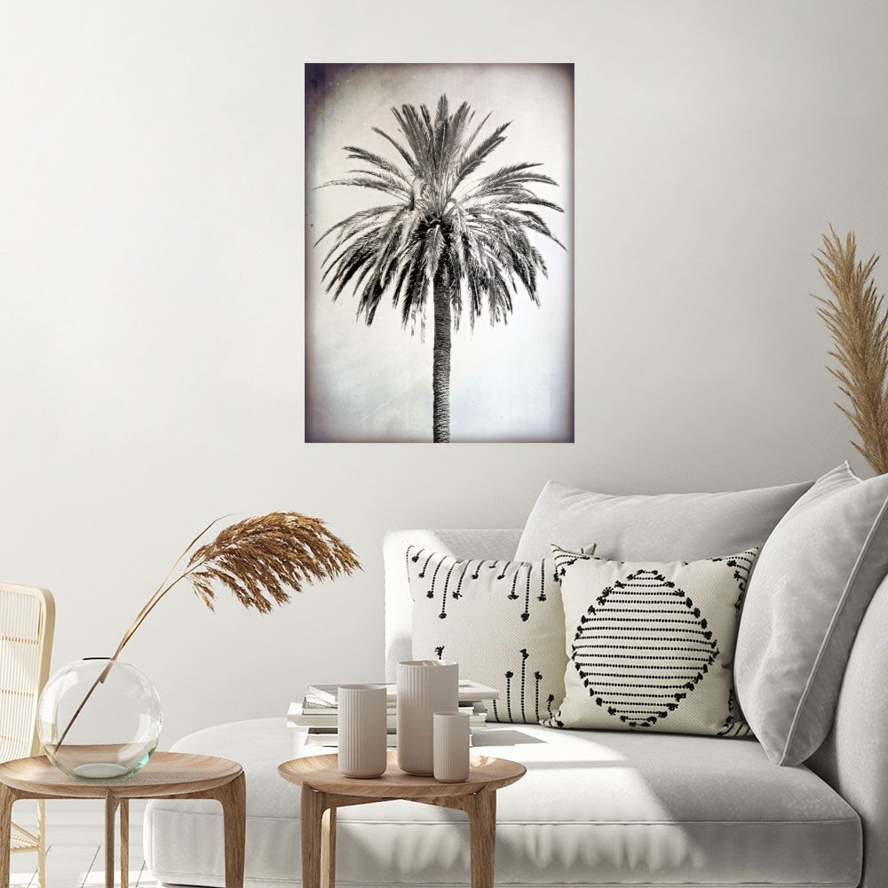 Affiche Palmier élégant