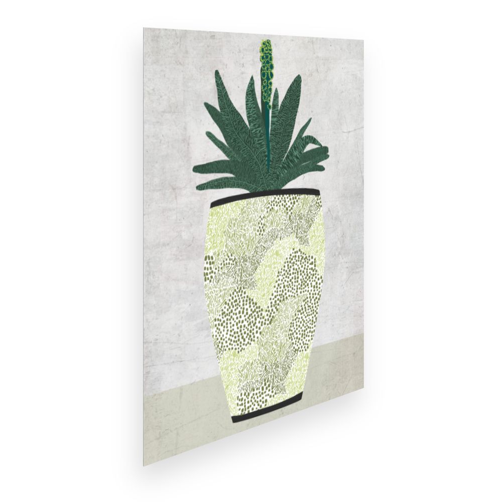 Affiche Plante élégante