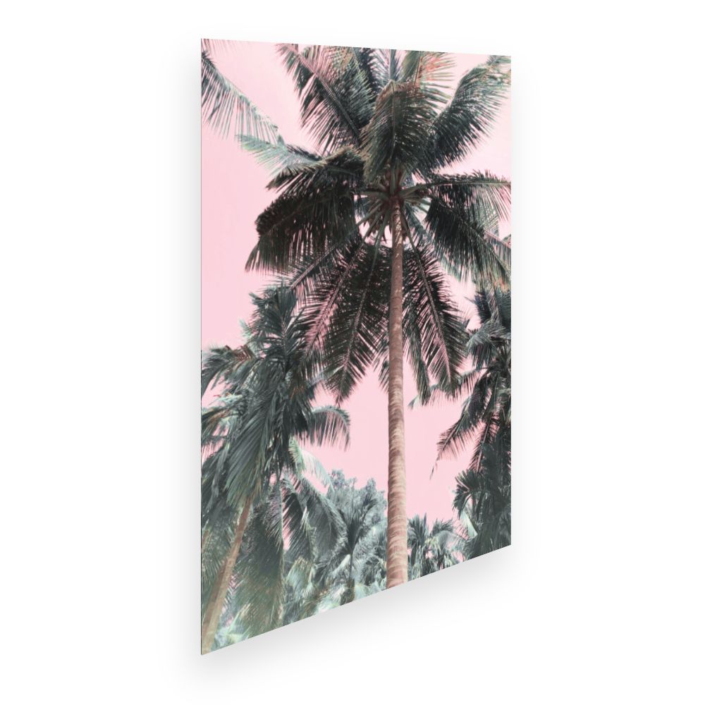 Affiche Palmiers oniriques