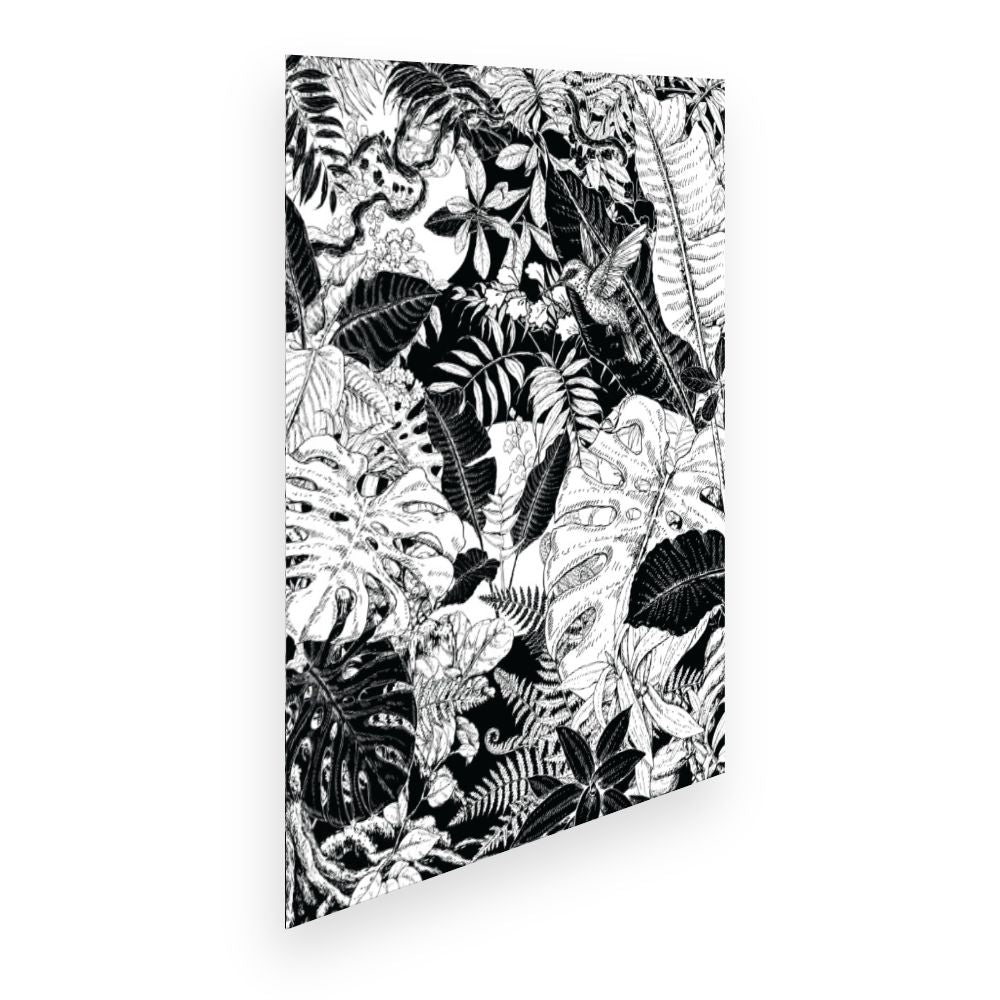 Affiche Jungle monochrome