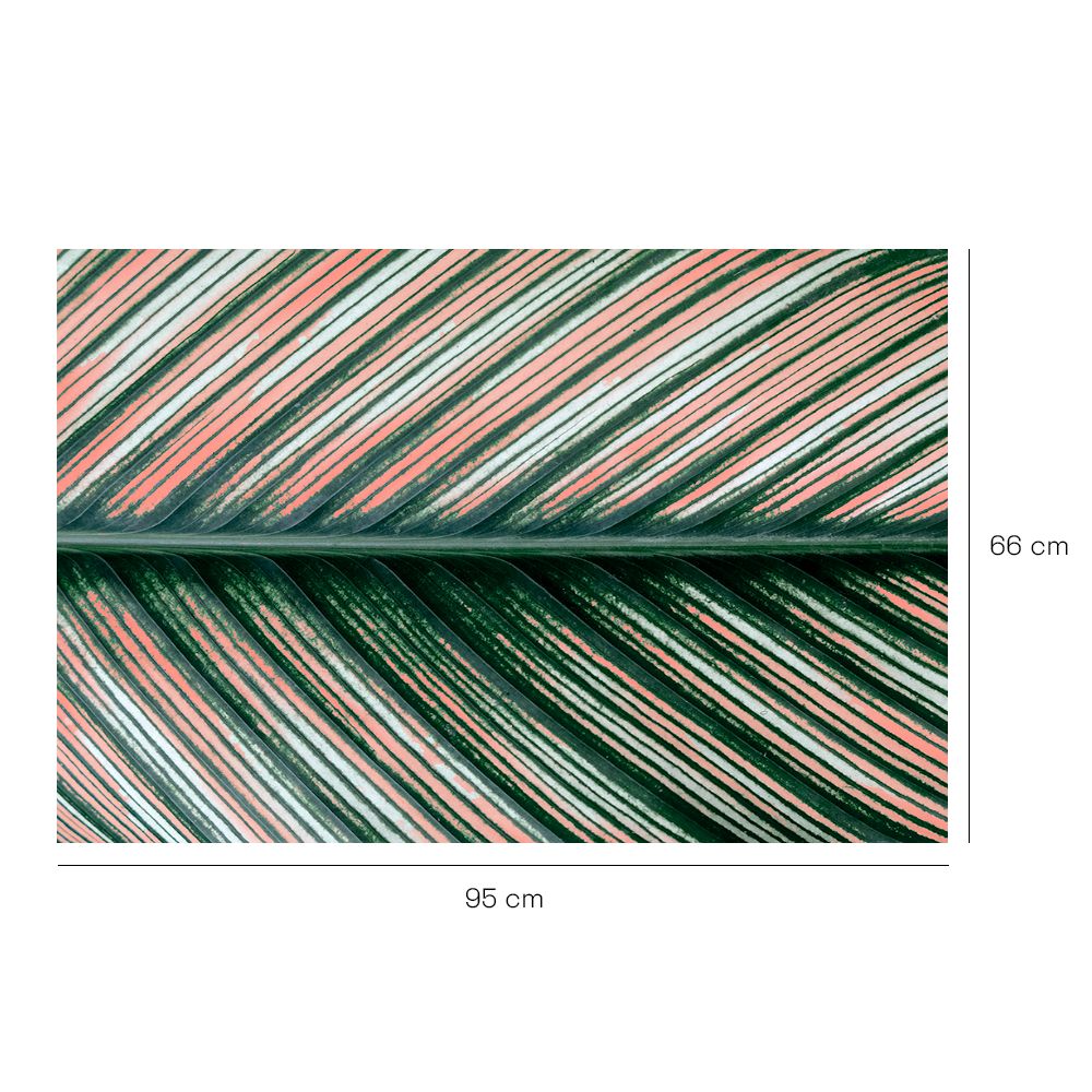 Tapis n°144 Motifs naturels