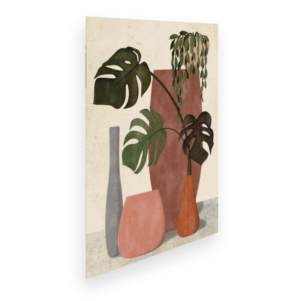Affiche Plantes et pots