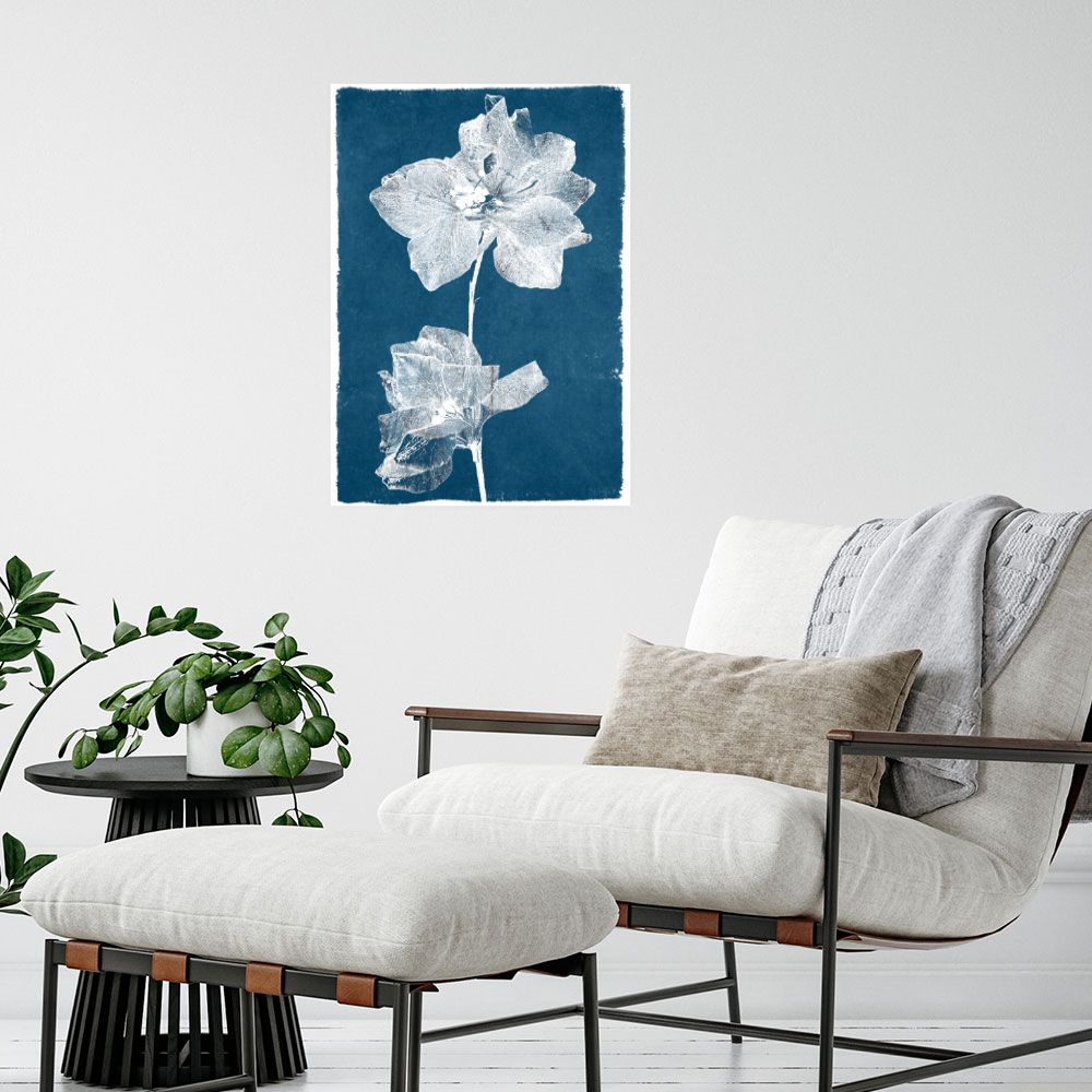 Affiche Fleurs délicates