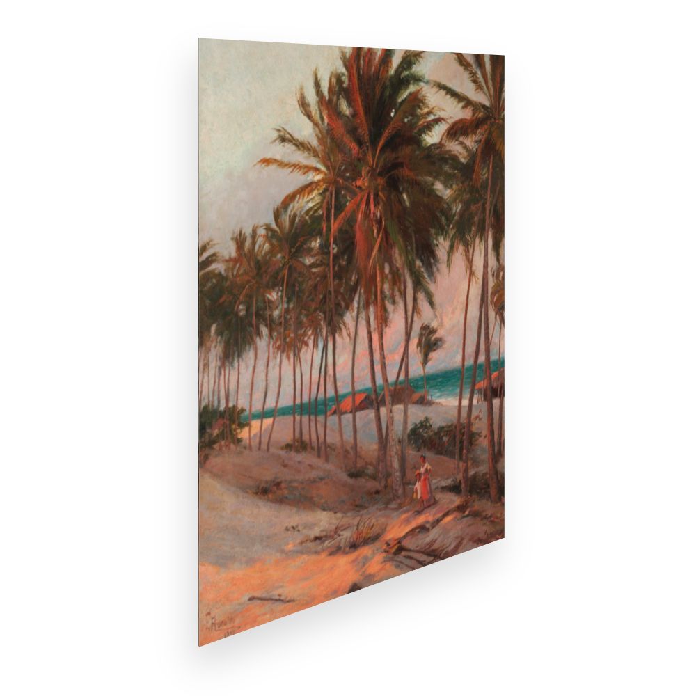 Affiche Cocotiers tropicaux