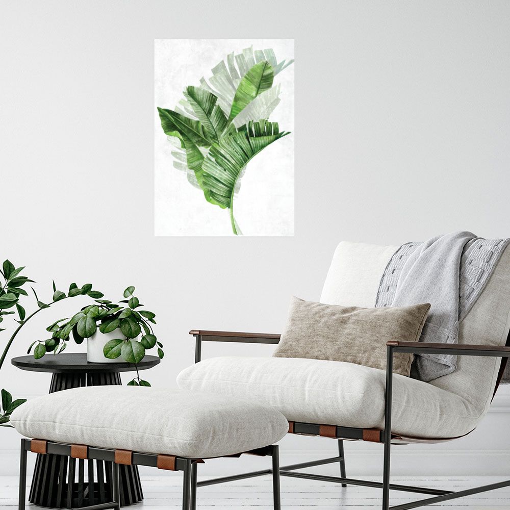 Affiche Feuillage tropical
