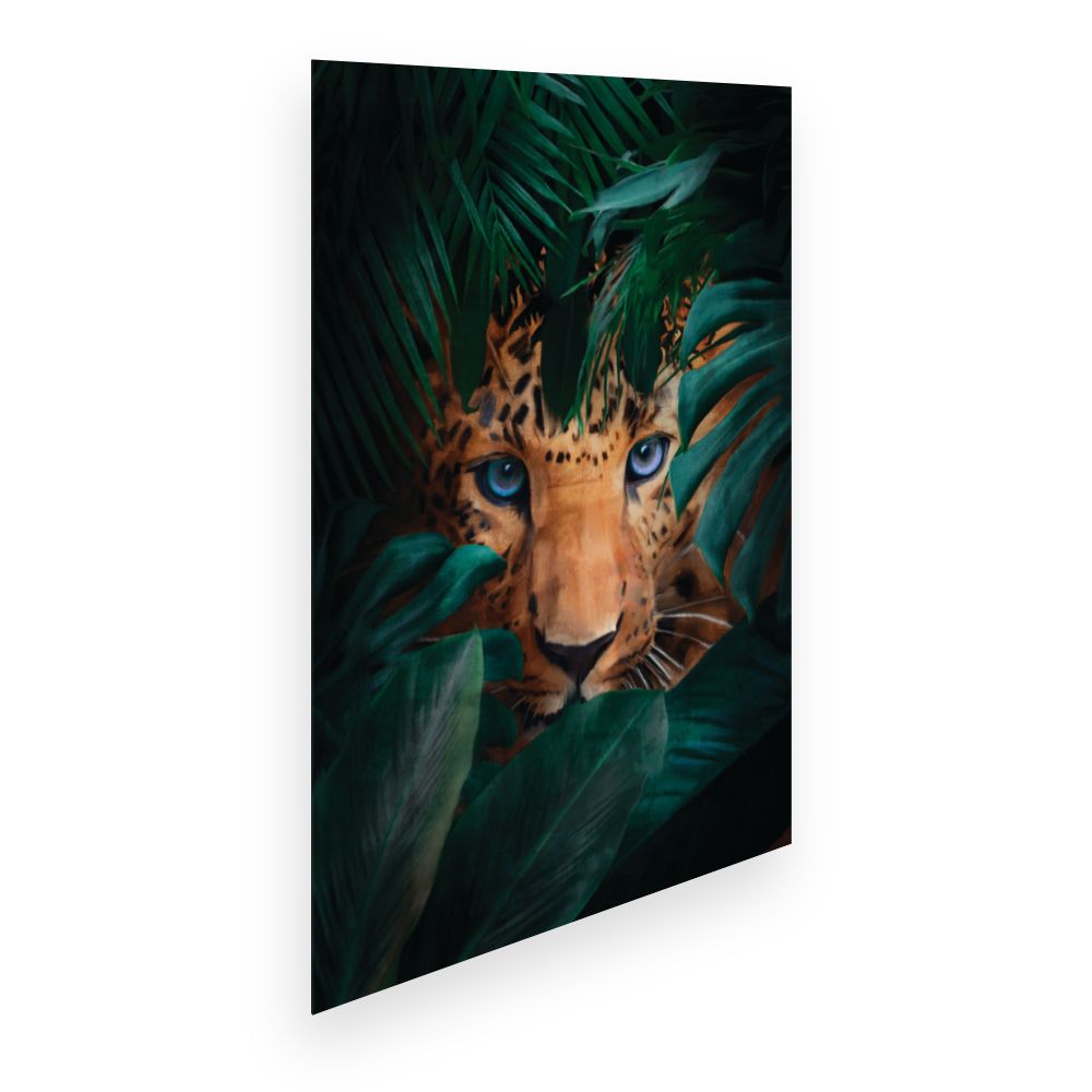 Affiche Regard félin intense