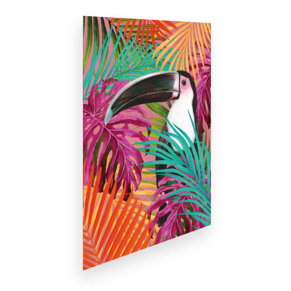 Affiche Toucan vibrant
