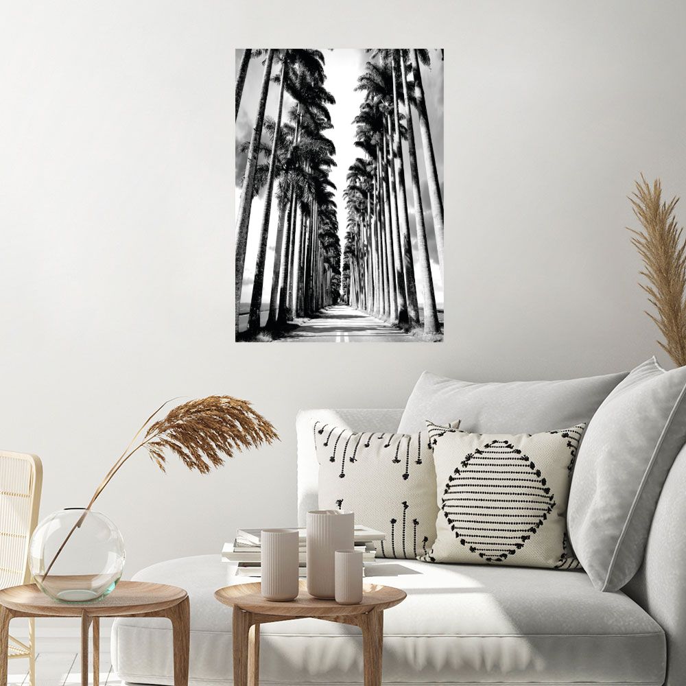 Affiche Allée de palmiers
