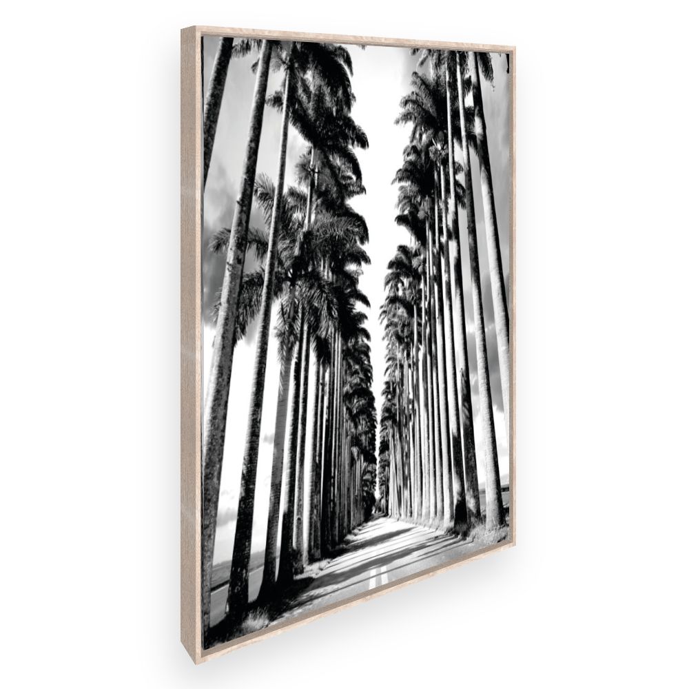 Toile Allée de palmiers