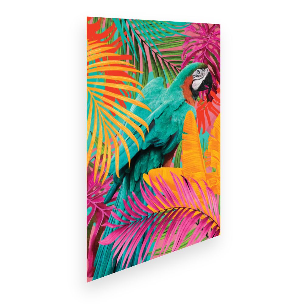 Affiche Perroquet tropical vibrant