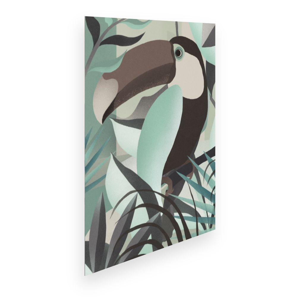 Affiche Toucan exotique