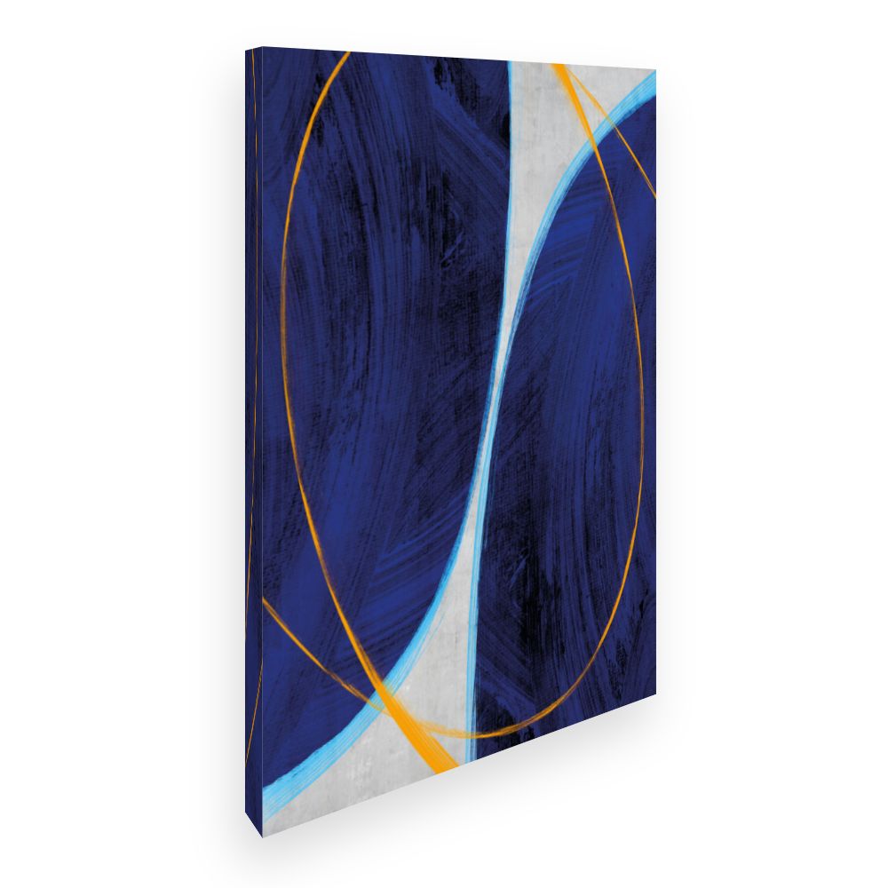 Toile Courbes dynamiques