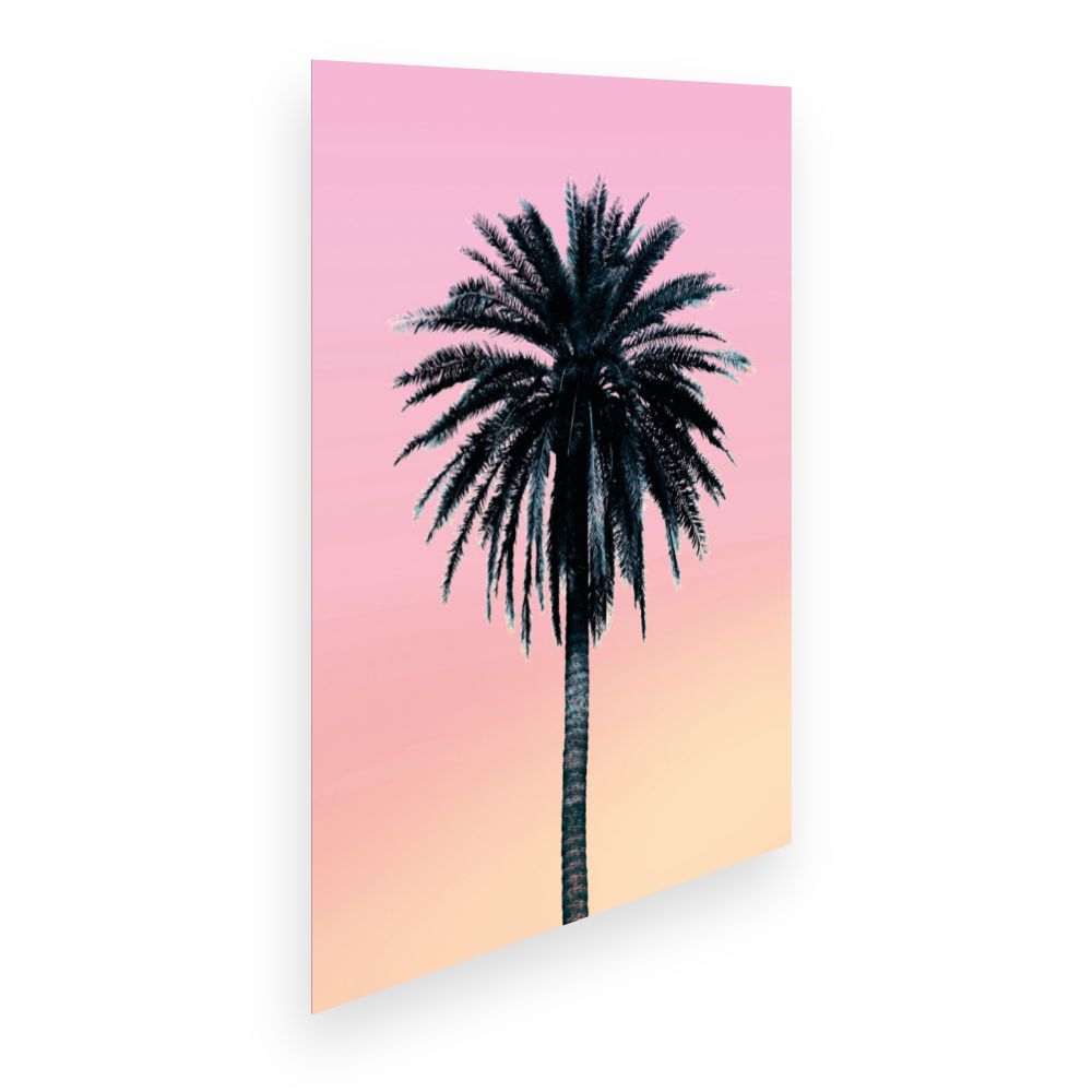 Affiche Palmier exotique