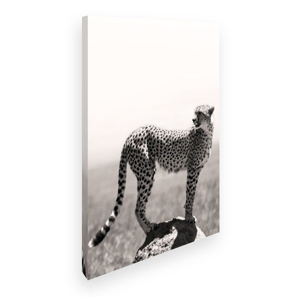 Toile Guépard vigilant