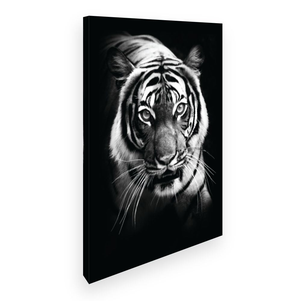 Toile Tigre majestueux