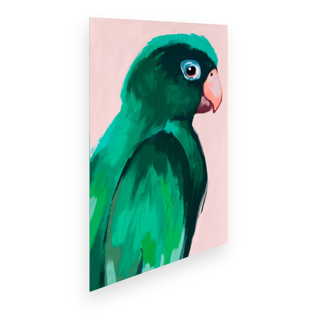 Affiche Perroquet élégant