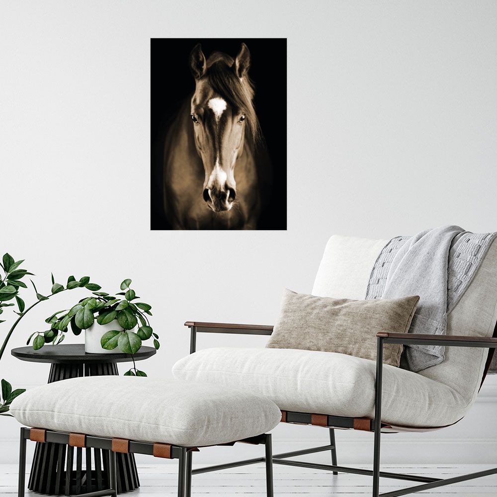 Affiche Cheval majestueux