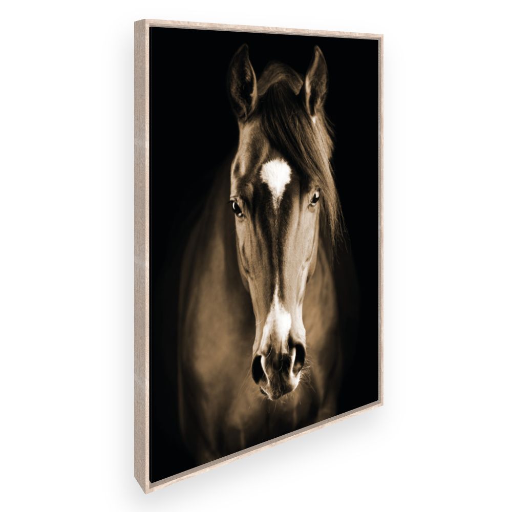 Toile Cheval majestueux