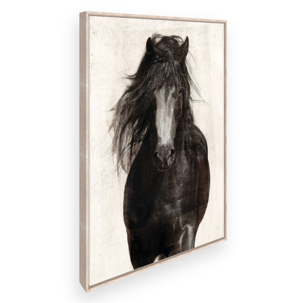 Toile Cheval majestueux