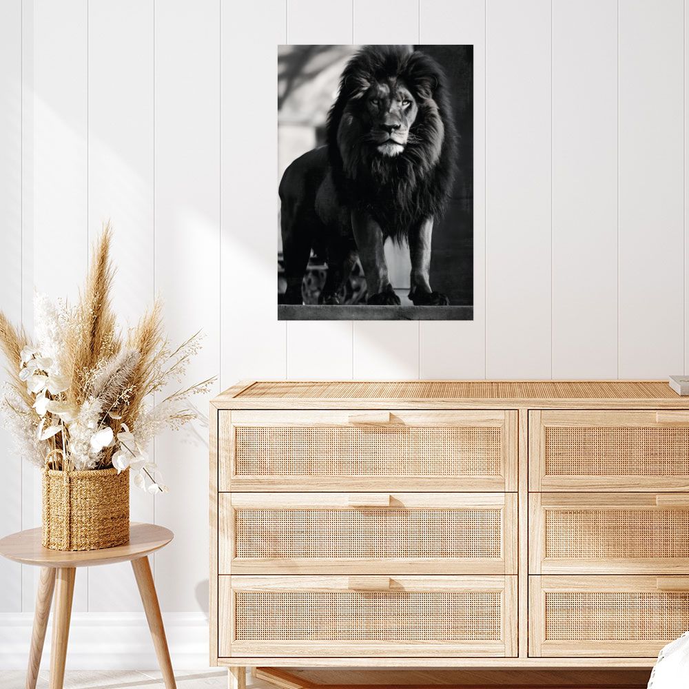 Affiche Lion majestueux
