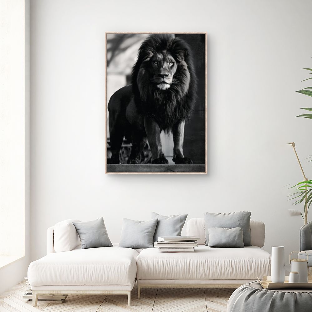 Tableau Lion majestueux