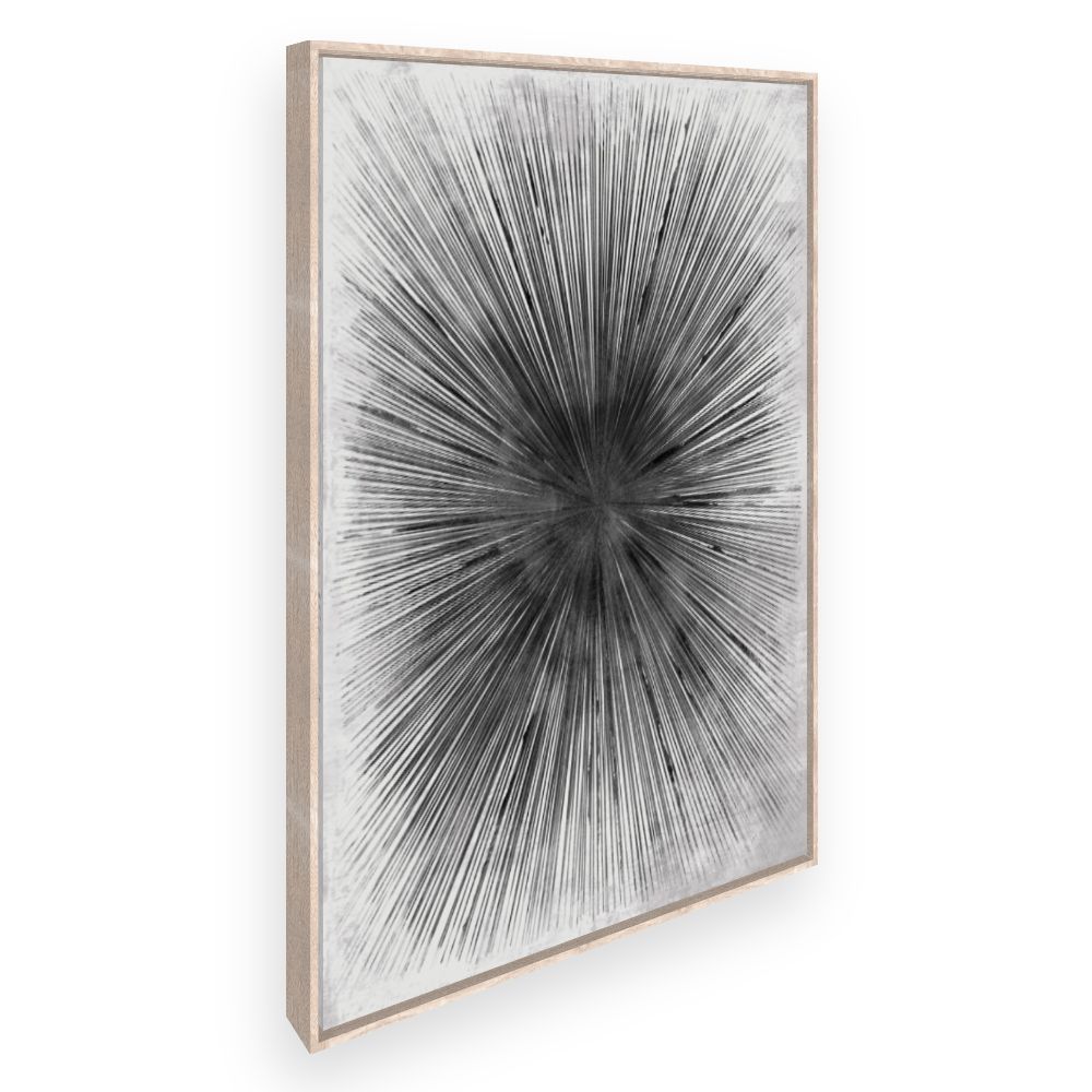 Toile Explosion radiale