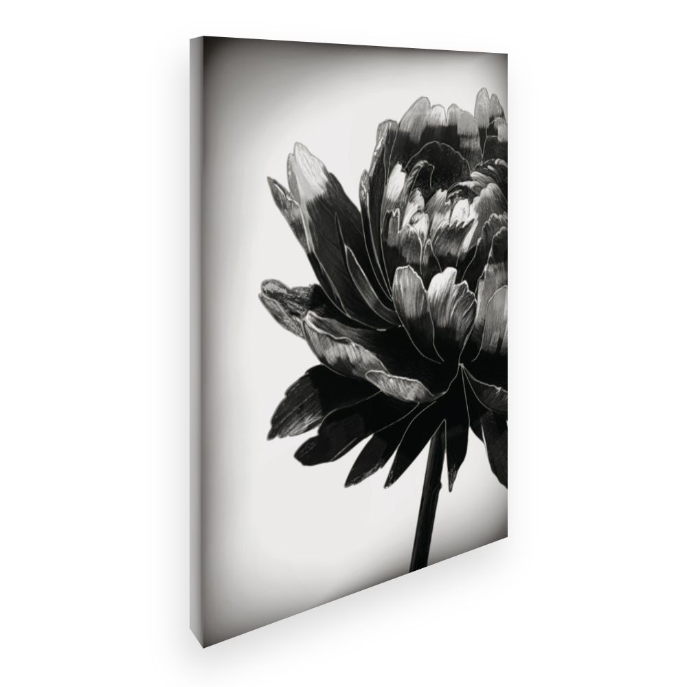 Toile Fleur élégante