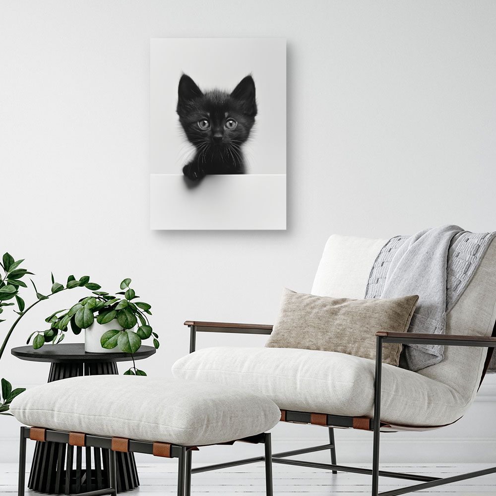 Toile "Chaton adorable"