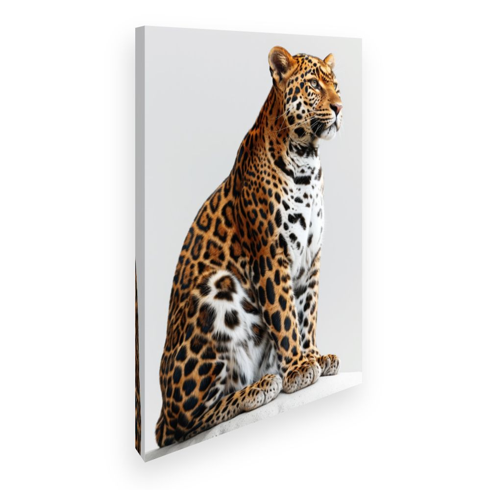 Toile Analyse impossible