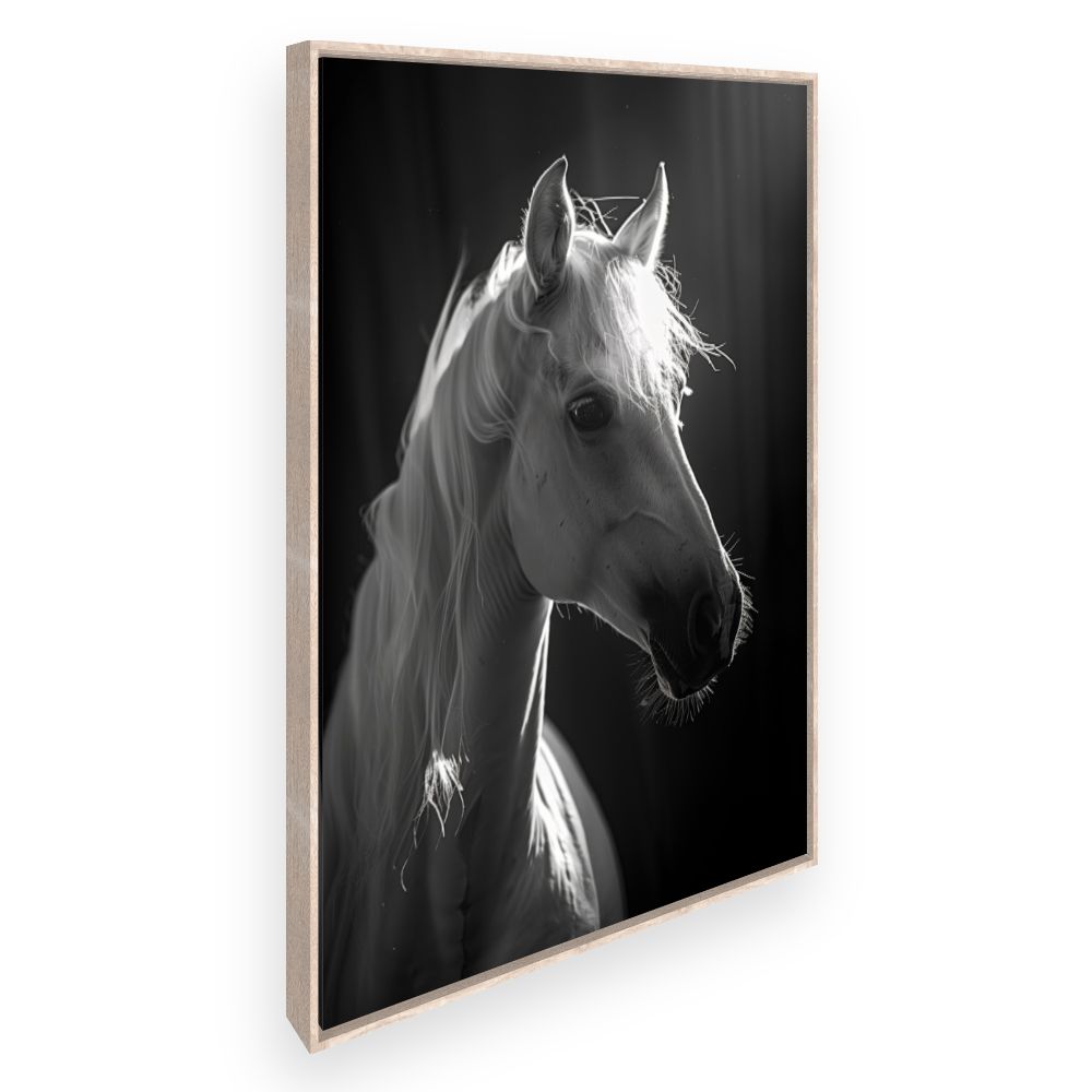 Toile Cheval majestueux