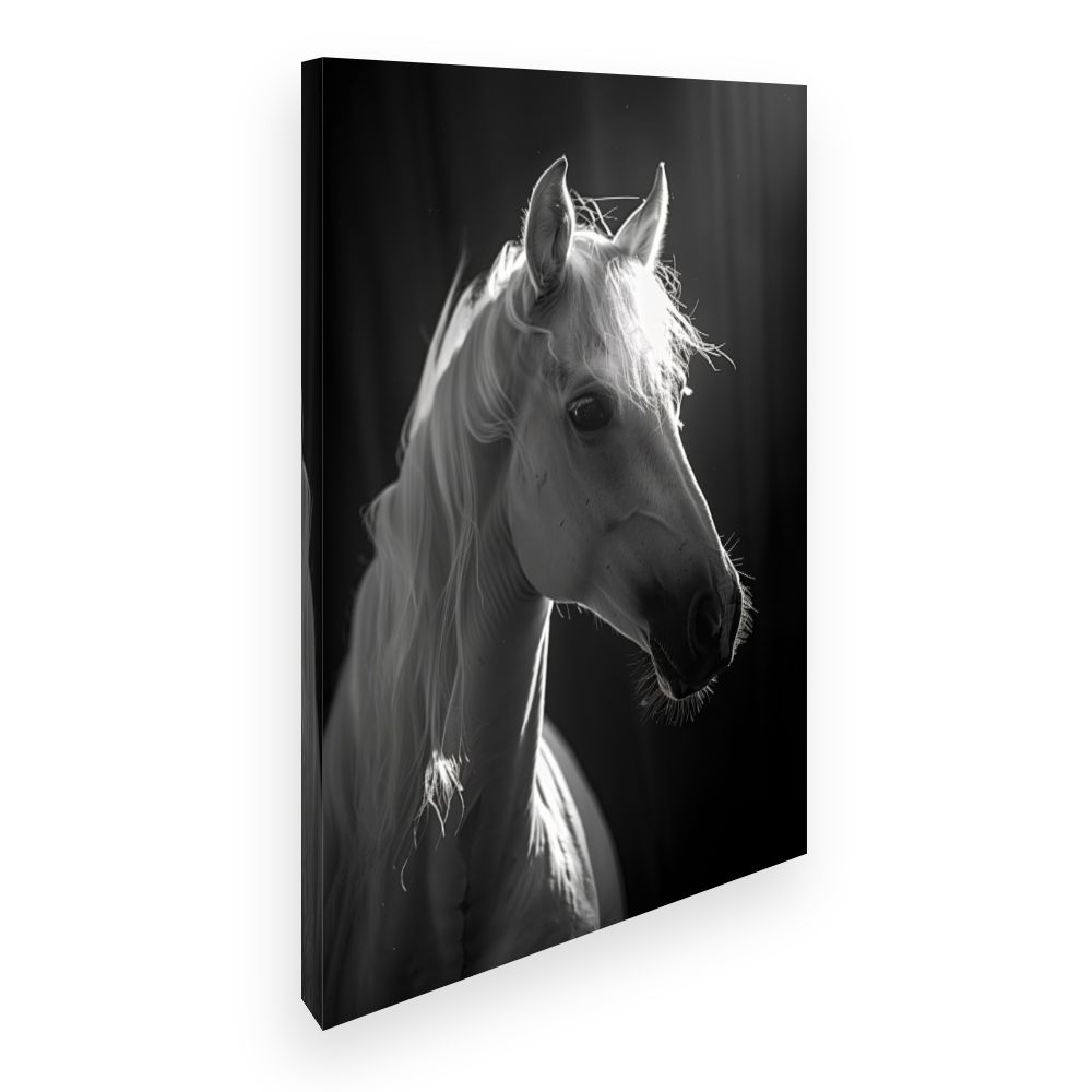 Toile Cheval majestueux