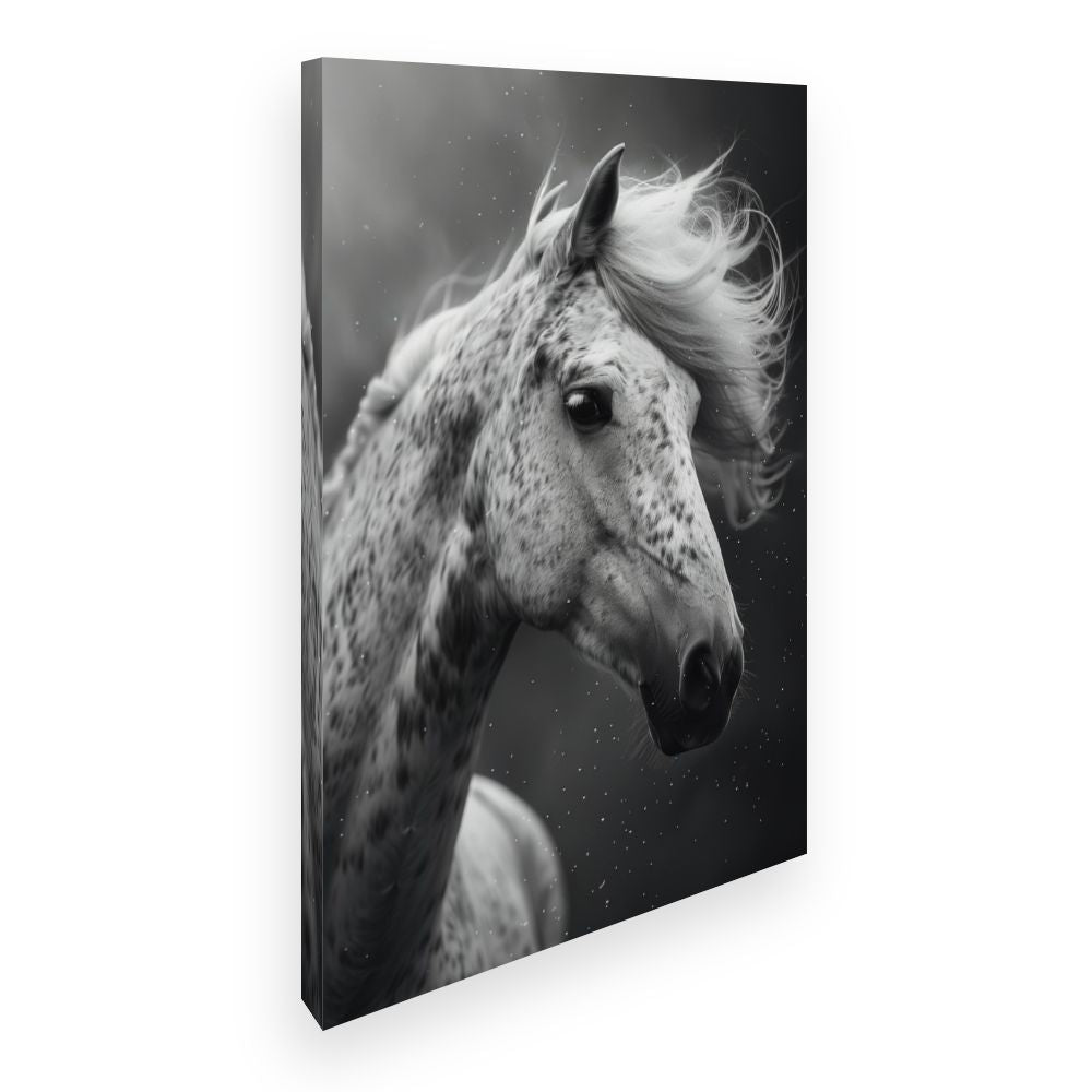 Toile Cheval majestueux