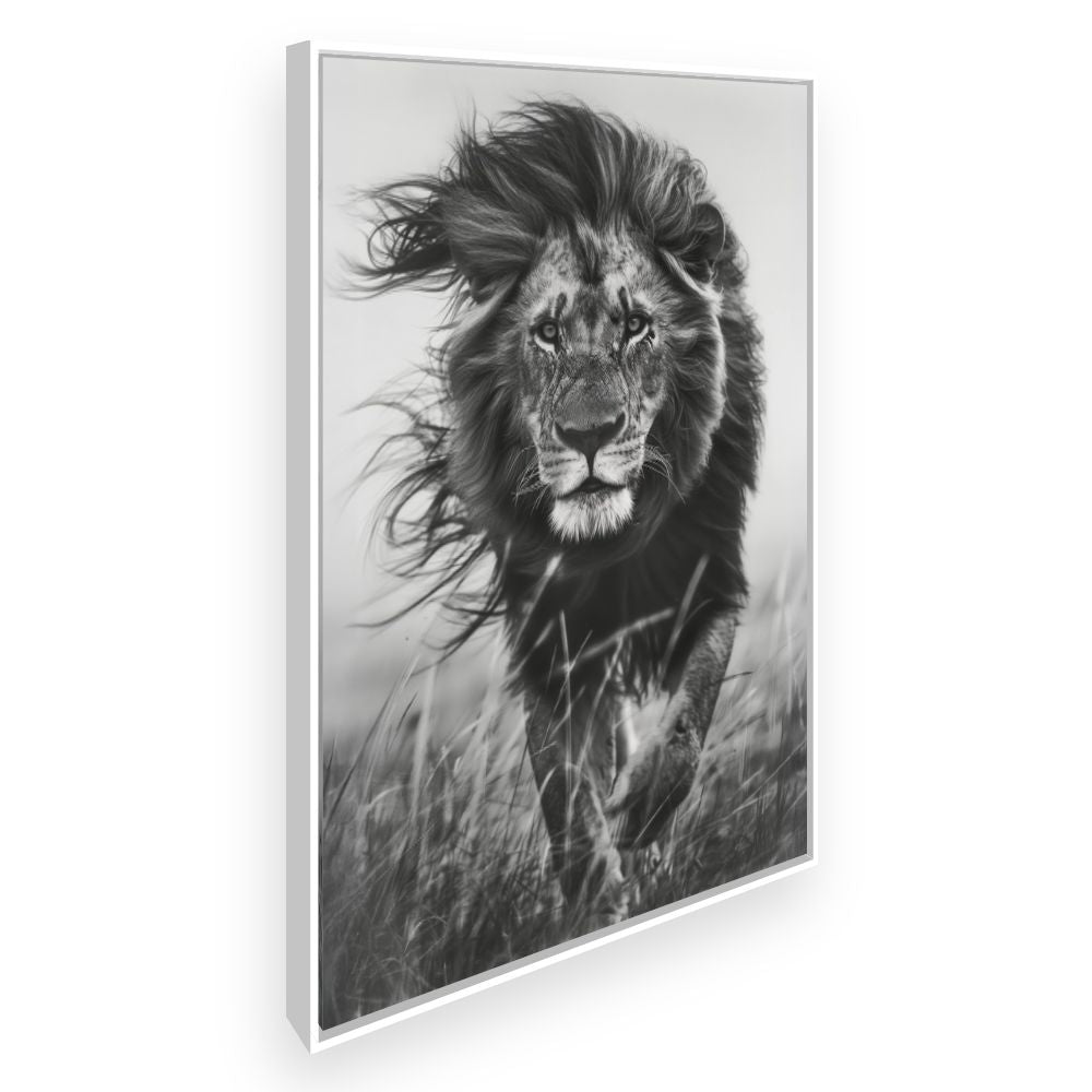 Toile Lion majestueux – toile cadre blanc (slide 2)