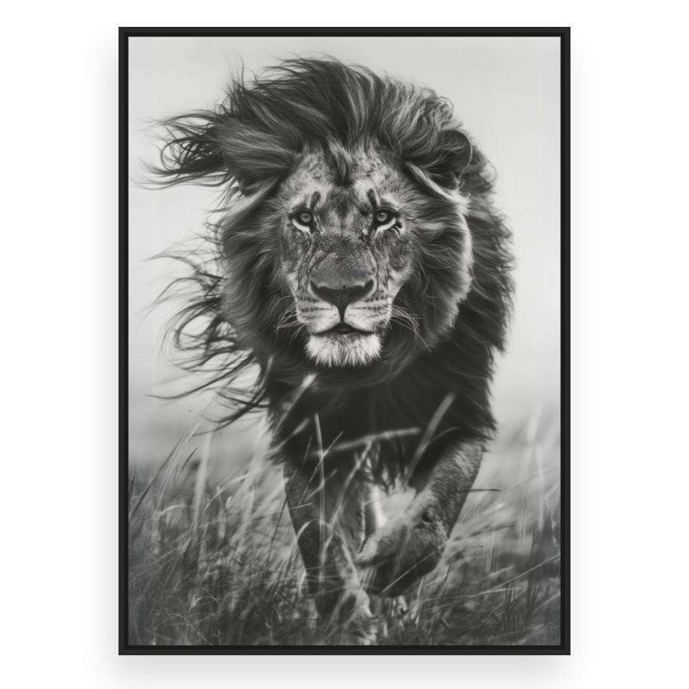 Toile Lion majestueux – toile cadre noir (slide 3)