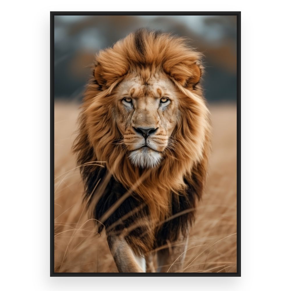 Toile Majestueux roi lion – toile cadre noir (slide 3)
