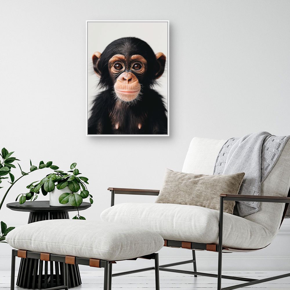 Toile "Bébé chimpanzé curieux"