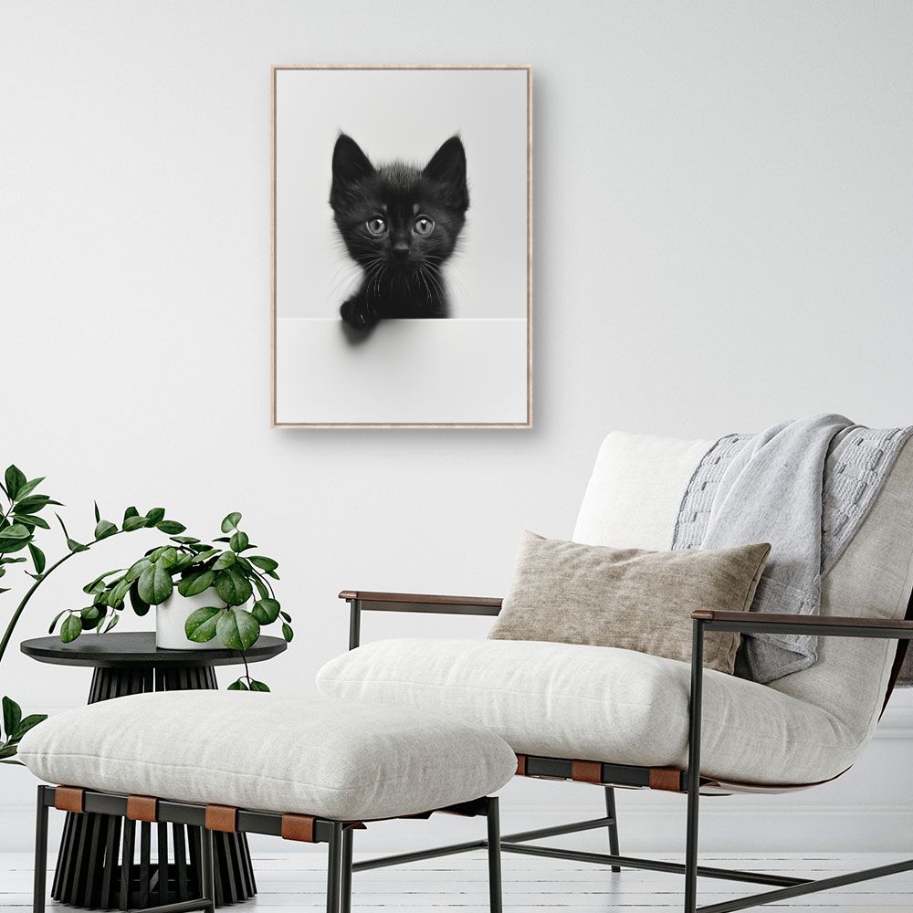 Toile "Chaton curieux"
